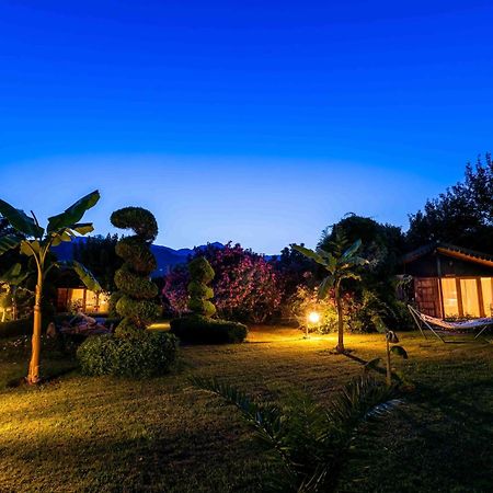 Etenna Beach Bungalows Çıralı Εξωτερικό φωτογραφία